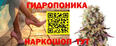 гашиш Шахты
