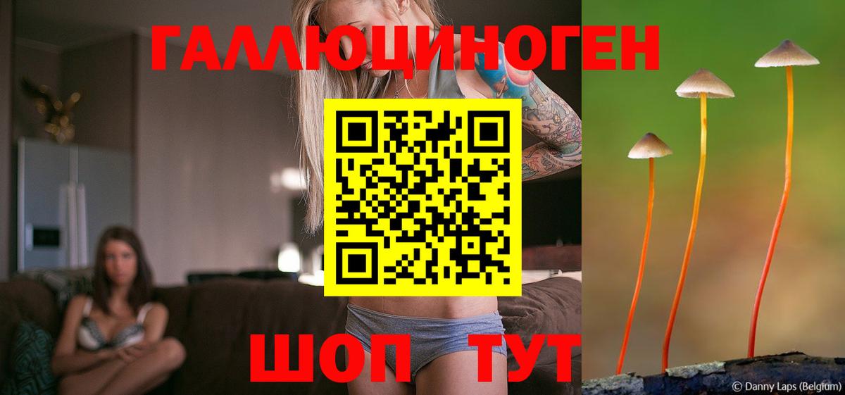Галлюциногенные грибы GOLDEN TEACHER  Галлюциногенные грибы MAGIC MUSHROOMS  купить наркотики цена  Воскресенск  Вход с VPN 